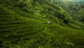 Begin your visa-prepared day with Vietnam’s tranquil ambiance